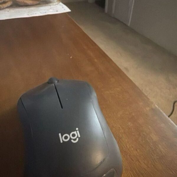 Logitech Wireless Mouse