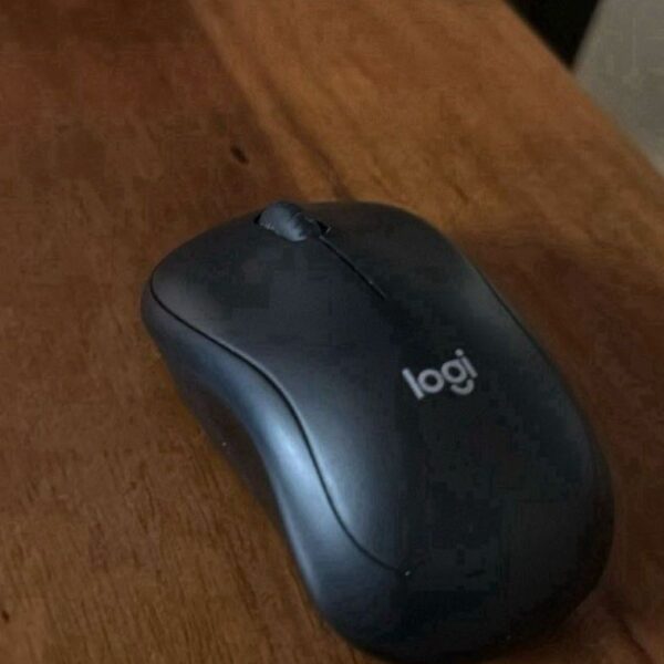 Logitech Wireless Mouse